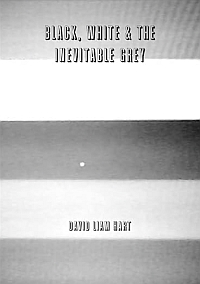 <span class='book-title'>Black, White & The Inevitable Grey</span> <br/> David Liam Hart